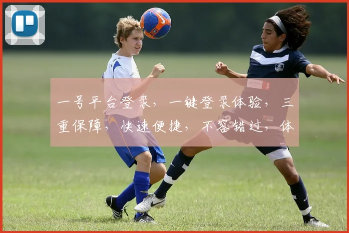 一号平台登录，一键登录体验，三重保障，快速便捷，不容错过，体验新高度