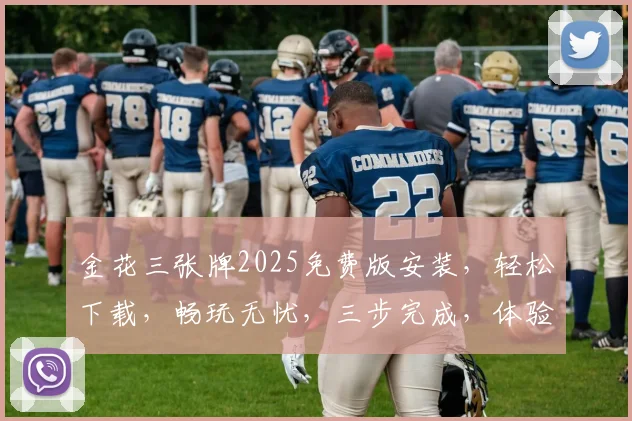 金花三张牌2025免费版安装，轻松下载，畅玩无忧，三步完成，体验极致